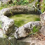 Casa Janelinhas - Near Sintra, Mafra, Ericeira 度假居 *