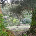 Casa Janelinhas - Near Sintra, Mafra, Ericeira * 马夫拉