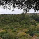 Casa Janelinhas - Near Sintra, Mafra, Ericeira