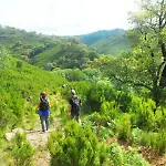 度假居 Casa Janelinhas - Near Sintra, Mafra, Ericeira *