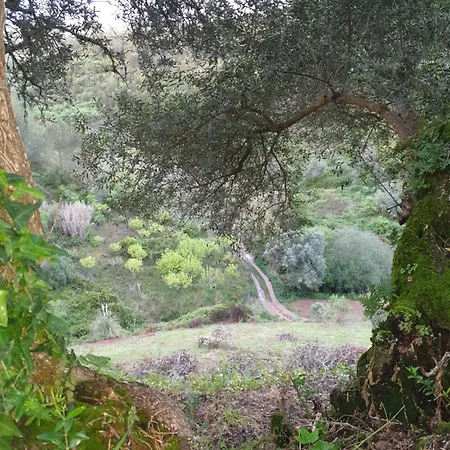 Casa Janelinhas - Near Sintra, Mafra, Ericeira * مافرا